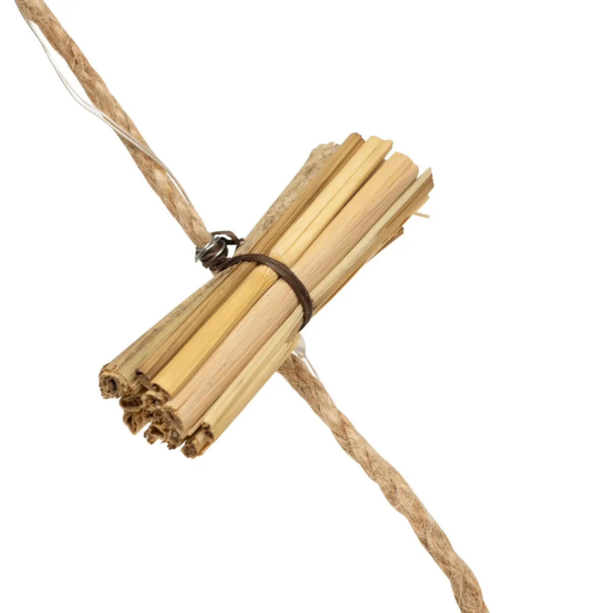 GD INT NAT PP BAIE 20LBC L220P