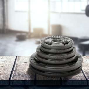 Juego de 6 Discos de Pesas de Acero 2,5-10 kg con Peso Total de 35 kg Discos Olímpicos con Orificio Central de Ø54 mm para Entrenamiento en Casa Gimnasio Plata