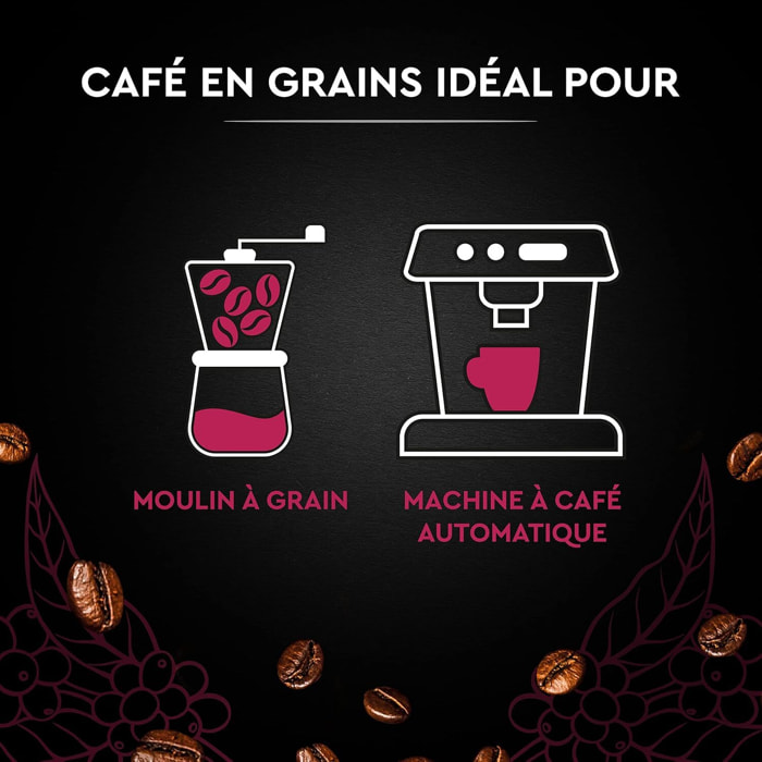 Carte Noire Grains Espresso 1 KG