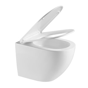 Pack WC Bati-support Geberit Duofix + WC sans bride Swiss Aqua Technologies + Plaque de commande Delta01 Blanche (FusionTQGeb3)