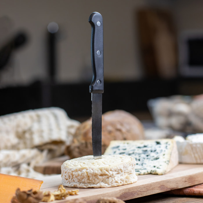 Lot de 6 couteaux à steak en acier inoxydable