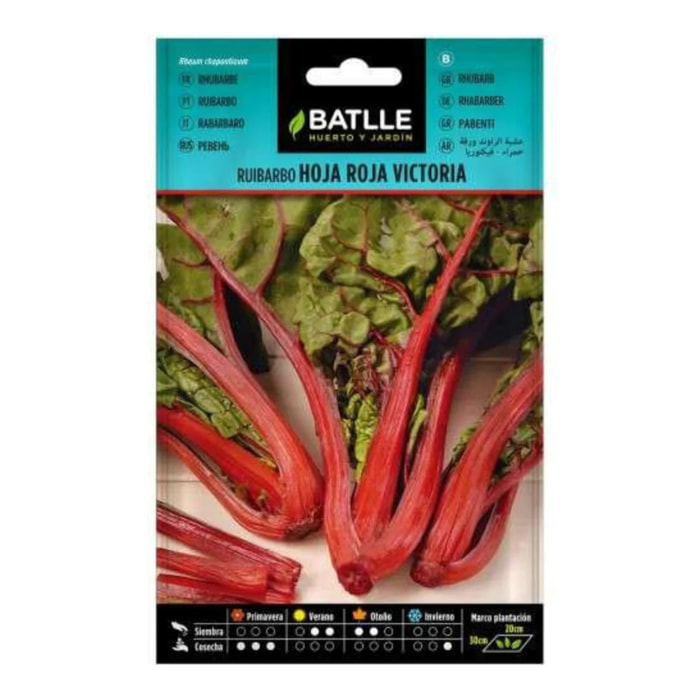 Semillas de Ruibarbo hoja roja Victoria Batlle
