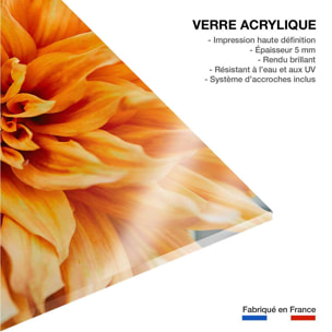 Tableau Tableau fleurs coeur de chrysanthème Tableau plexiglas