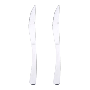 Set de 24 cuchillos de acero inoxidable de diseño clásico pisa renberg