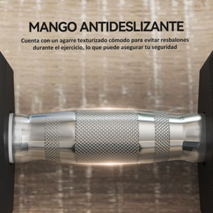 Juego de Mancuernas Hexagonales, 2 x 12,5 kg, de Hierro Fundido, Recubiertas de Goma, Juego de Pesas con Barras de Conexión para Entrenamiento en Casa, Gimnasio y Oficina, Negro y Plata