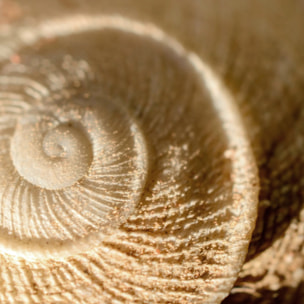 Housse de couette 100 % coton 80 fils Nerja