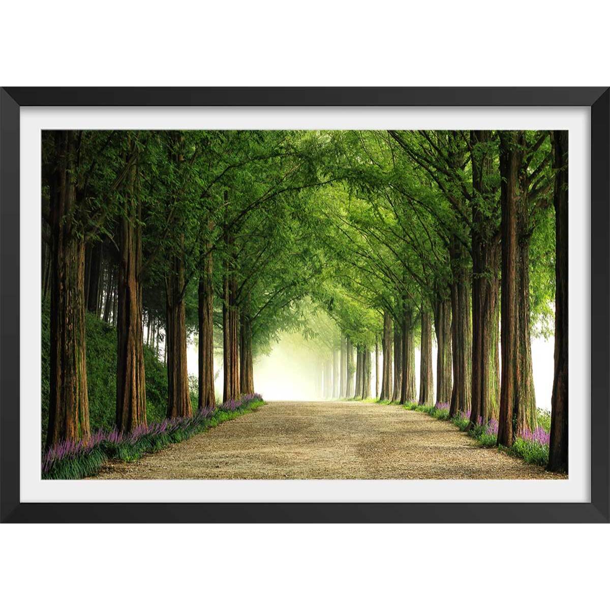 Affiche L'arbre Metasequoia Affiche sous cadre noir