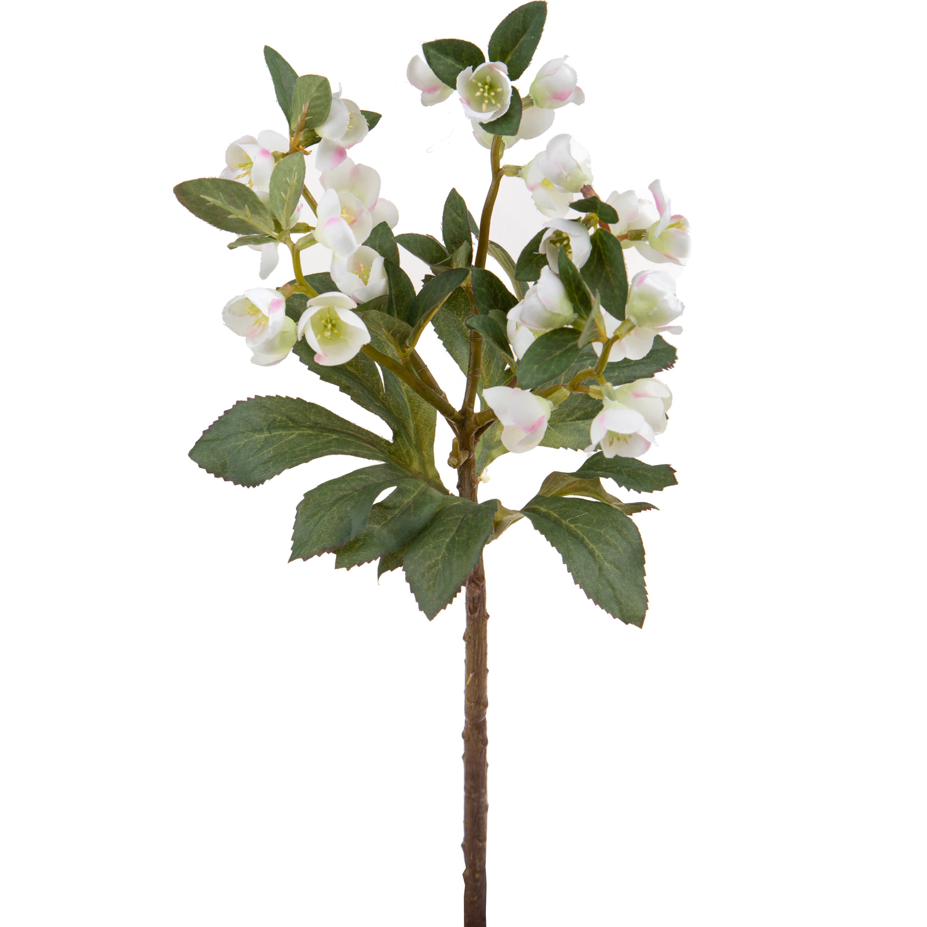 Ramo Di Helleborus. Altezza 42 Cm - Pezzi 6 - 8X42X7cm - Colore: Bianco - Bianchi Dino - Fiori Artificiali