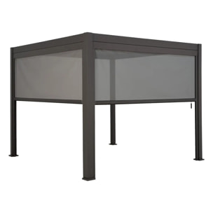 Store pour pergola bioclimatique EVORA Graphite