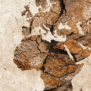 Tableau carte du monde couleur bois - 80x50 cm Toile imprimée