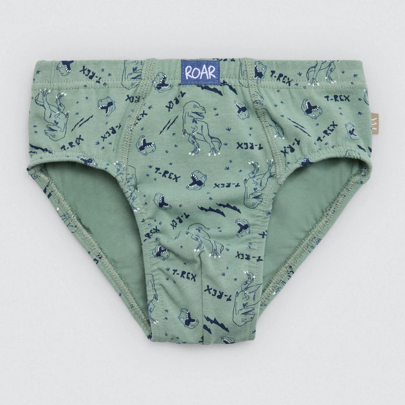 Confezione da 2 slip in cotone per bambini con stampa di dinosauri