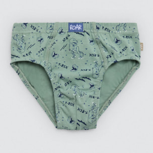 Confezione da 2 slip in cotone per bambini con stampa di dinosauri