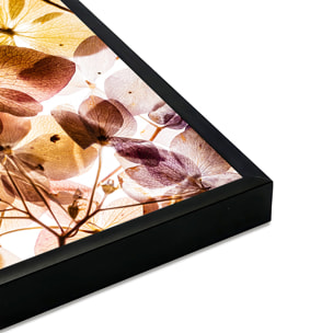 Affiche encadrée Fleurs translucides Affiche + cadre en métal - Noir