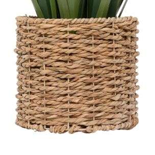 Plante artificielle en pot "Zya" vert H122cm