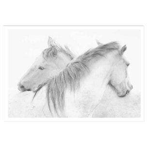 Poster chevaux blancs au crayon de bois Affiche seule