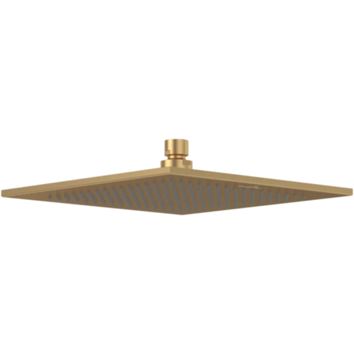 Douche de tête Universal rectangle Or brossé