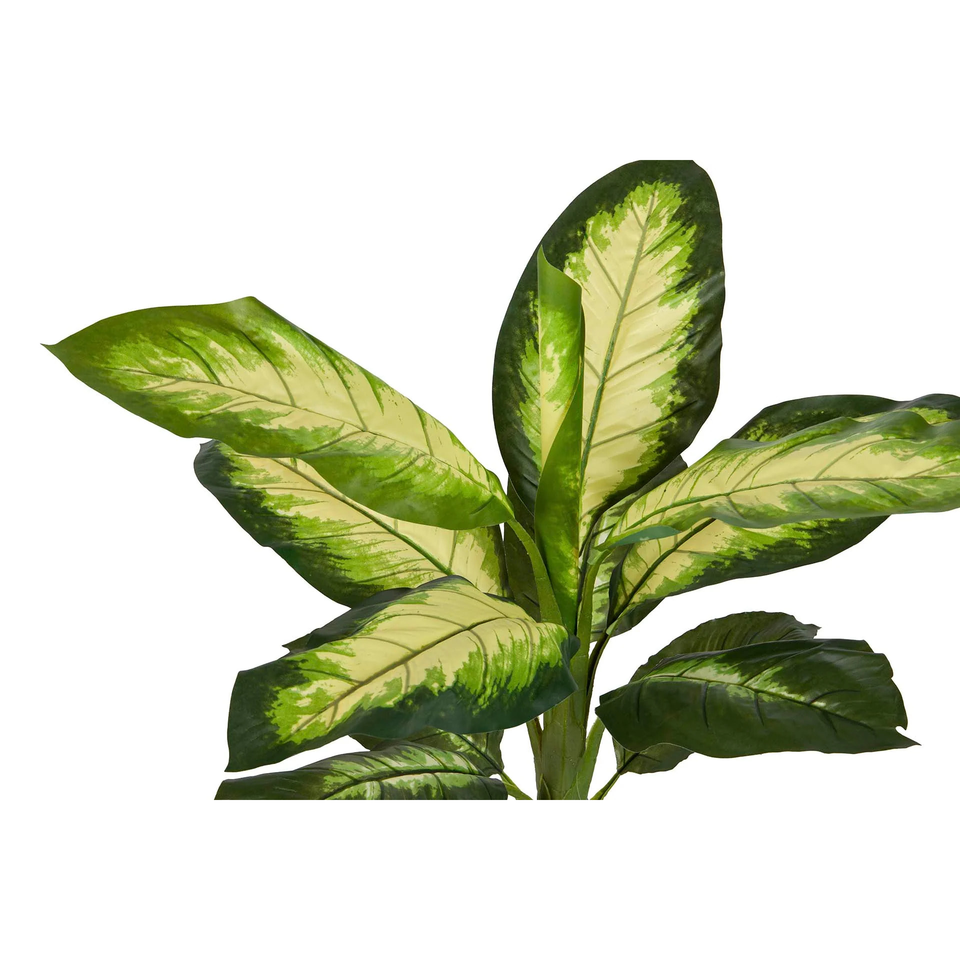 Planta Artificial Dieffenbachia Dotied 55x55x100 Cm