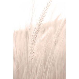 Tableau blé poudré Tableau alu Dibond