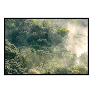 Affiche encadrée forêt brumeuse et lumière douce Affiche + cadre en métal - Noir
