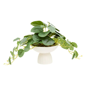 Plante artificielle Nippo H.29cm blanc
