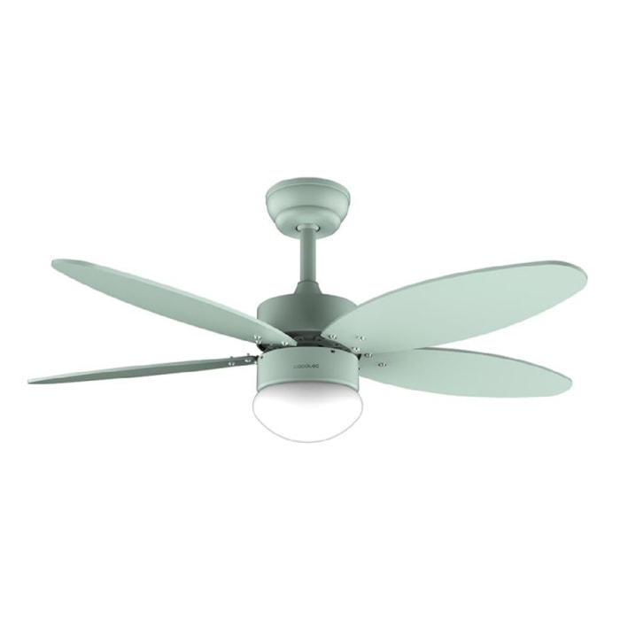 Cecotec Ventilateur de plafond avec lampe EnergySilence Aero 4260 Full Mint