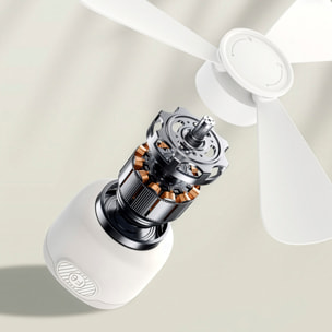 Ventilador de techo FS-6B de 27 cm. Con luz LED integrada y 3 velocidades. Cable de alimentación de 3 metros.
