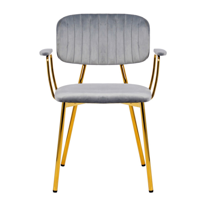 Set di 2 sedie Kian in velluto grigio e metallo dorato