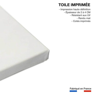 Tableau monstera perfect Toile imprimée