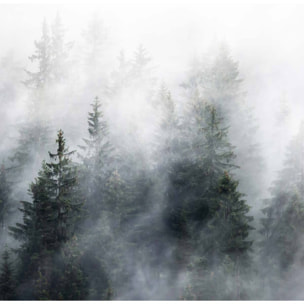 Papier peint bois sous la brume Intissé