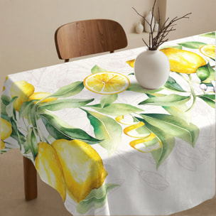 Nappe anti-taches 100% coton Damiano