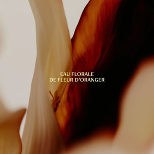 Eau Florale Fleur d'Oranger - Adoucissante Spray 200 ml