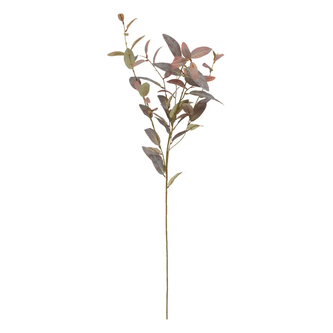 Tige d'eucalyptus artificielle James vert H103cm