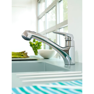 GROHE Mitigeur Evier EURODISC avec douchette extractible Chromé