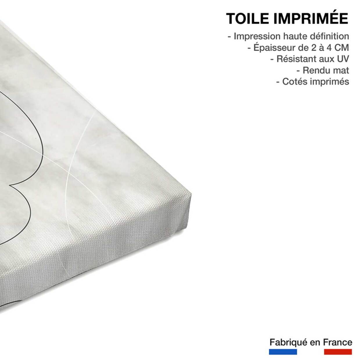 Tableau abstrait et soft line n°1 Toile imprimée