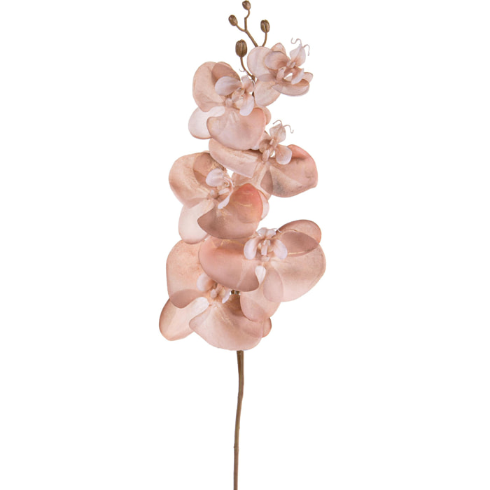 Phalenopsis Br/Gold. Altezza 81 Cm - Pezzi 4 - 13X81X12cm - Colore: rosa - Bianchi Dino - Articoli Natalizi