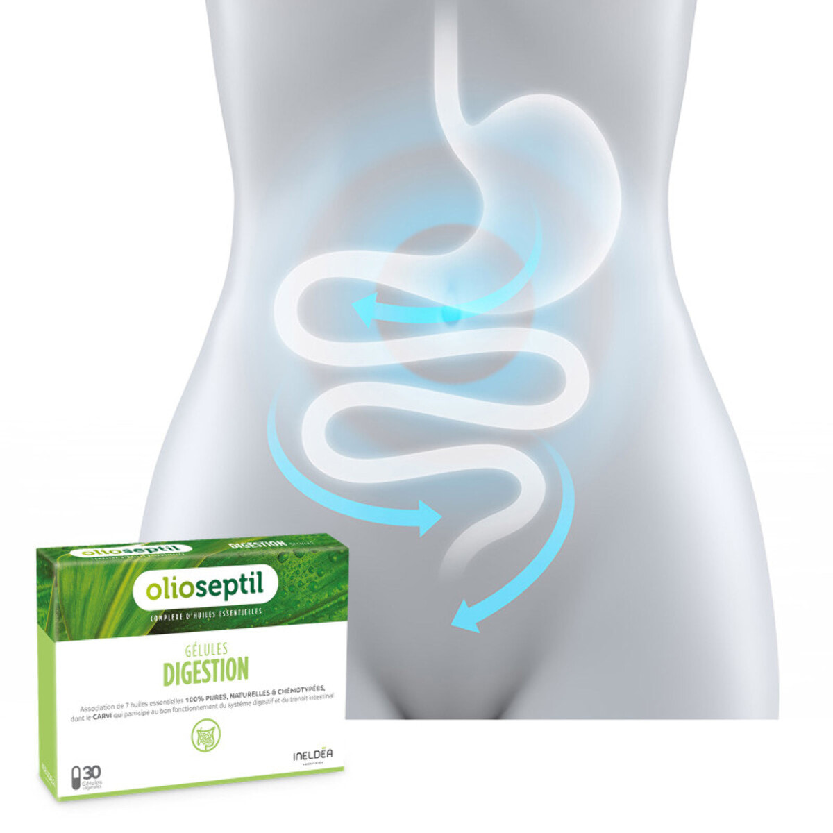 OLIOSEPTIL - Gélules Digestion - Favorise le Confort Digestif & Améliore le Transit - Réduit les Ballonnements - Complexe d'Huiles Essentielles 100% Pures et Naturelles - Sans Gluten - Lot de 3