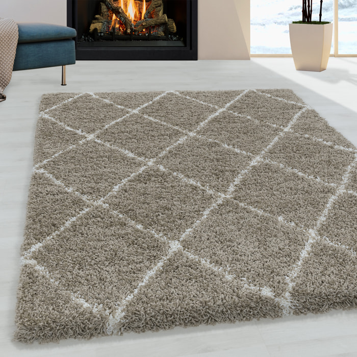 ALVOR - Tapis shaggy à poils longs motif berbère beige