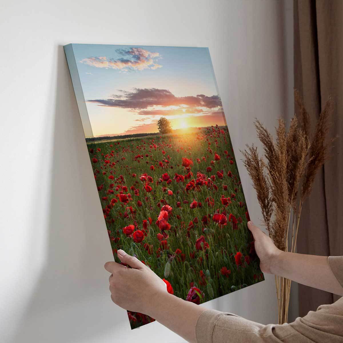 Tableau champs de coquelicots Suede en fleurs Toile imprimée