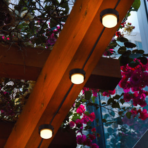 10 Balise solaire à piquer SOLIRAY 12M