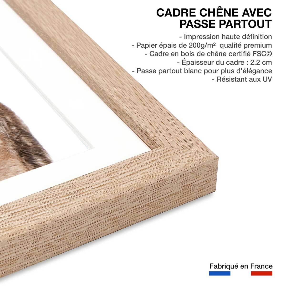 Affiche enfant bébé biche  Affiche + cadre en bois - Chêne