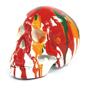 Skull Design Multicolore