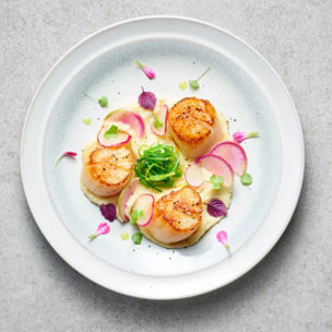 48 Noix de Saint Jacques surgelées 17/25 pcs/Lb