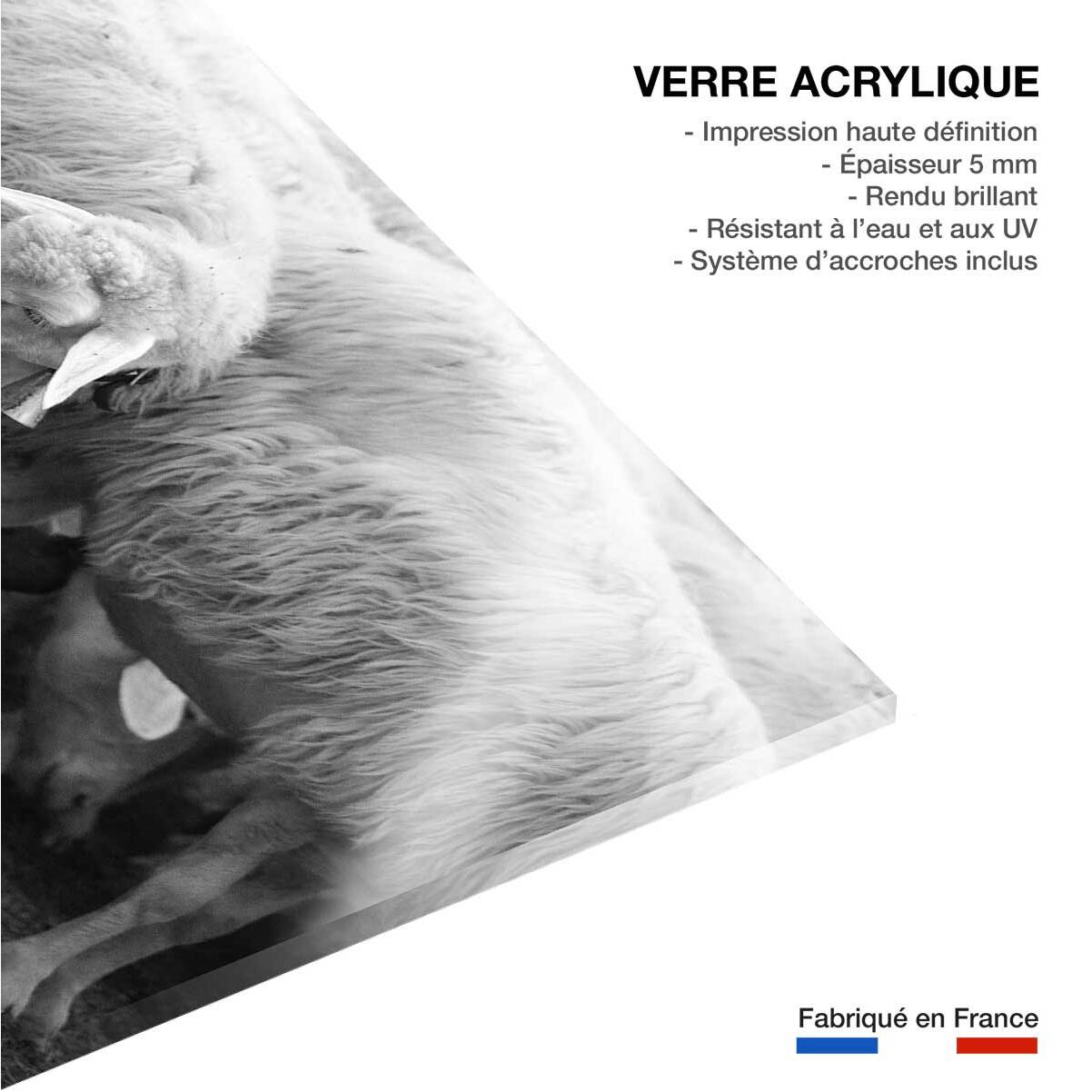 Tableau paysage chien de berger  Tableau plexiglas