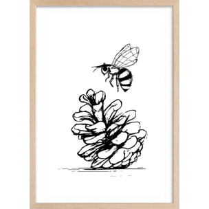 Poster pomme de pins et abeille Affiche + cadre en bois - Chêne