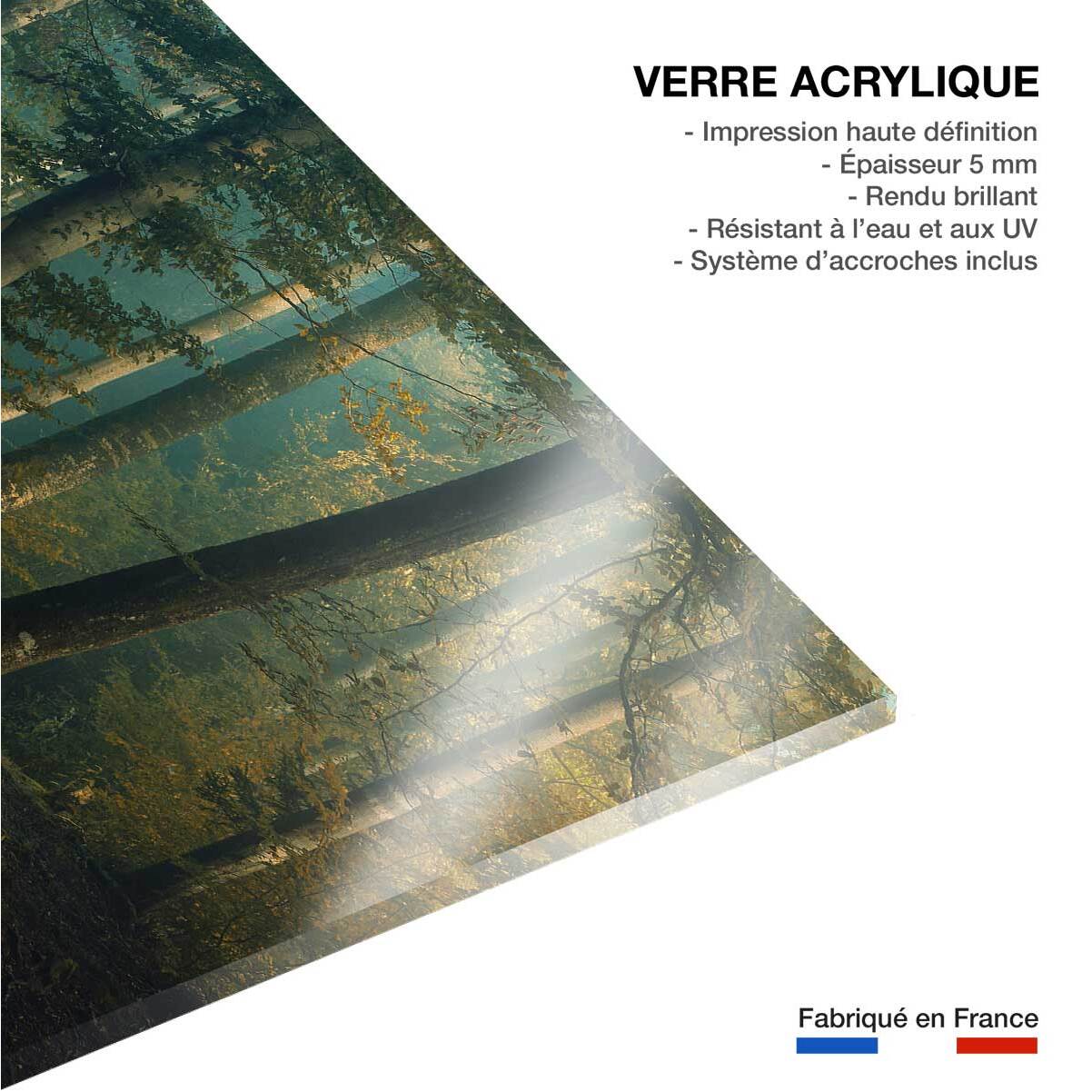 Tableau sous-bois en octobre Tableau plexiglas