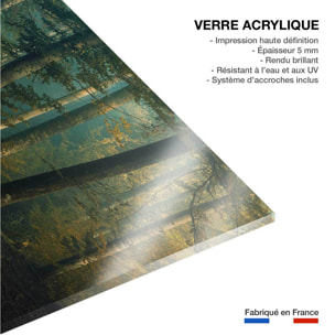 Tableau sous-bois en octobre Tableau plexiglas