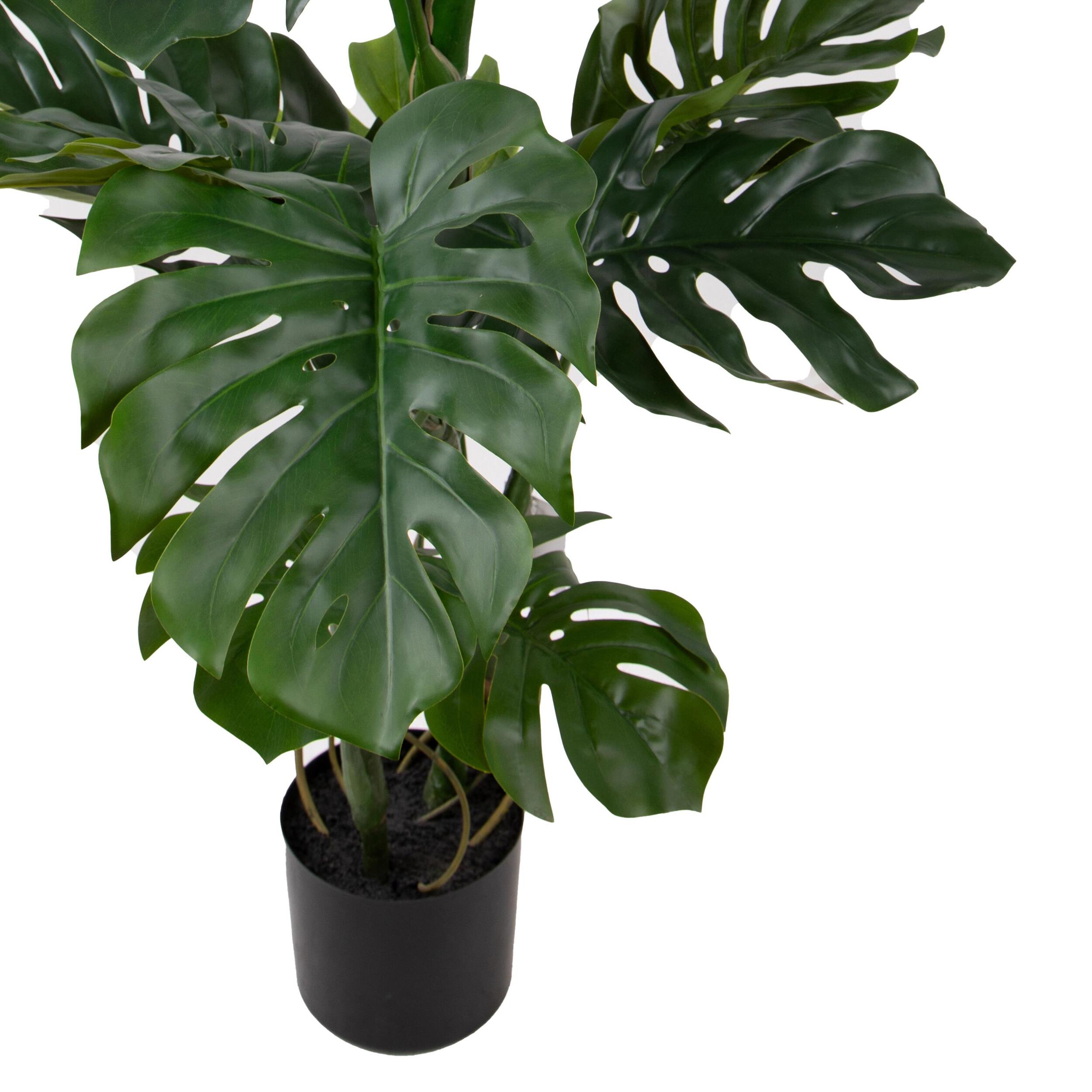 Monstera real touch - Pezzi 1 - Colore: Verde - Bianchi Dino