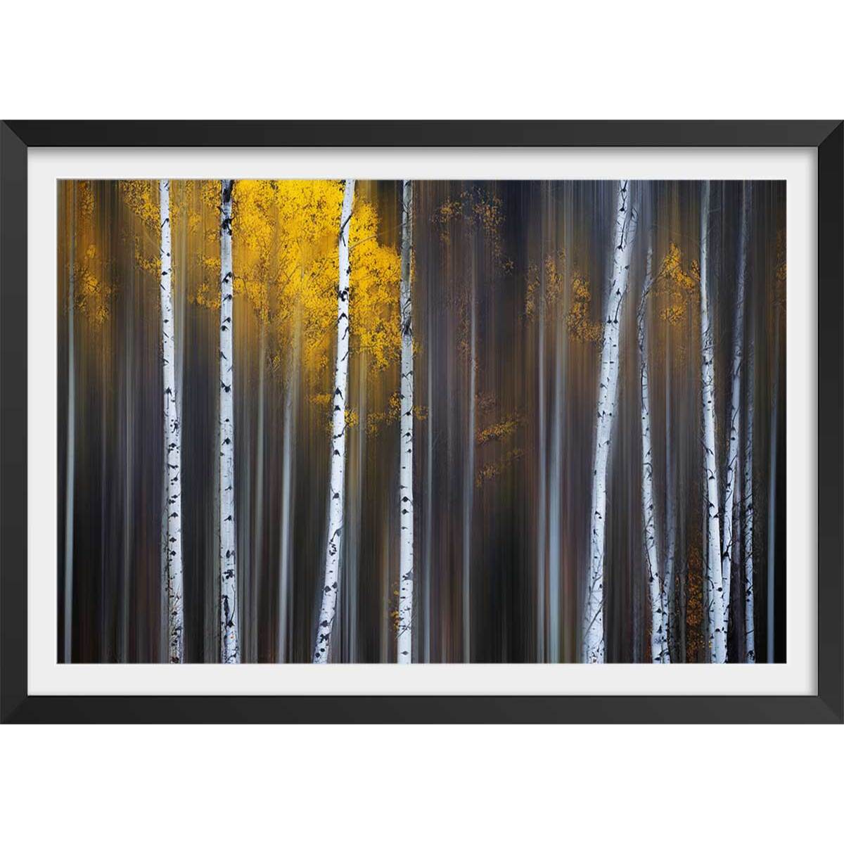 Affiche paysage Rideau d'automne Affiche + cadre en bois - Noir