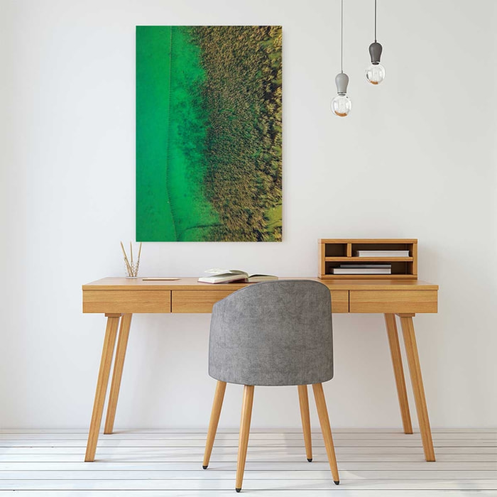 Tableau végétaux et flore aquatique Tableau alu Dibond