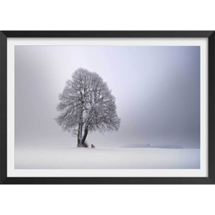 Affiche paysage Lumière d' hiver Affiche + cadre en bois - Noir
